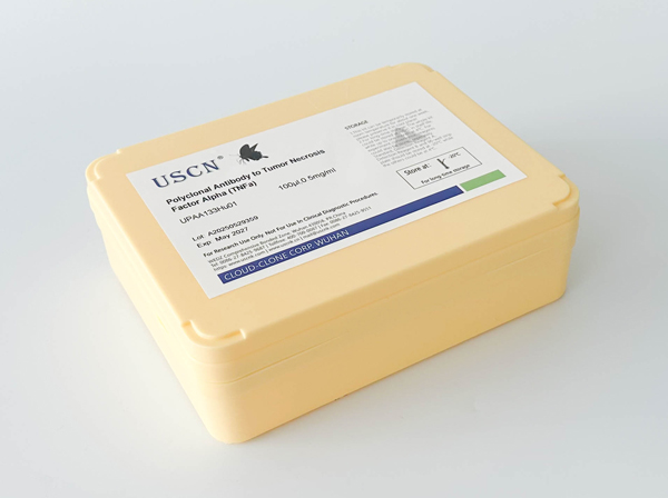 Polyclonal Antibody to Cyclin D1 (CCND1)