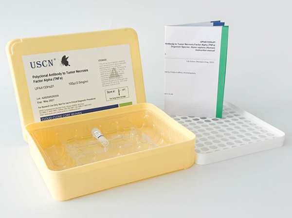 Polyclonal Antibody to Cyclin D1 (CCND1)